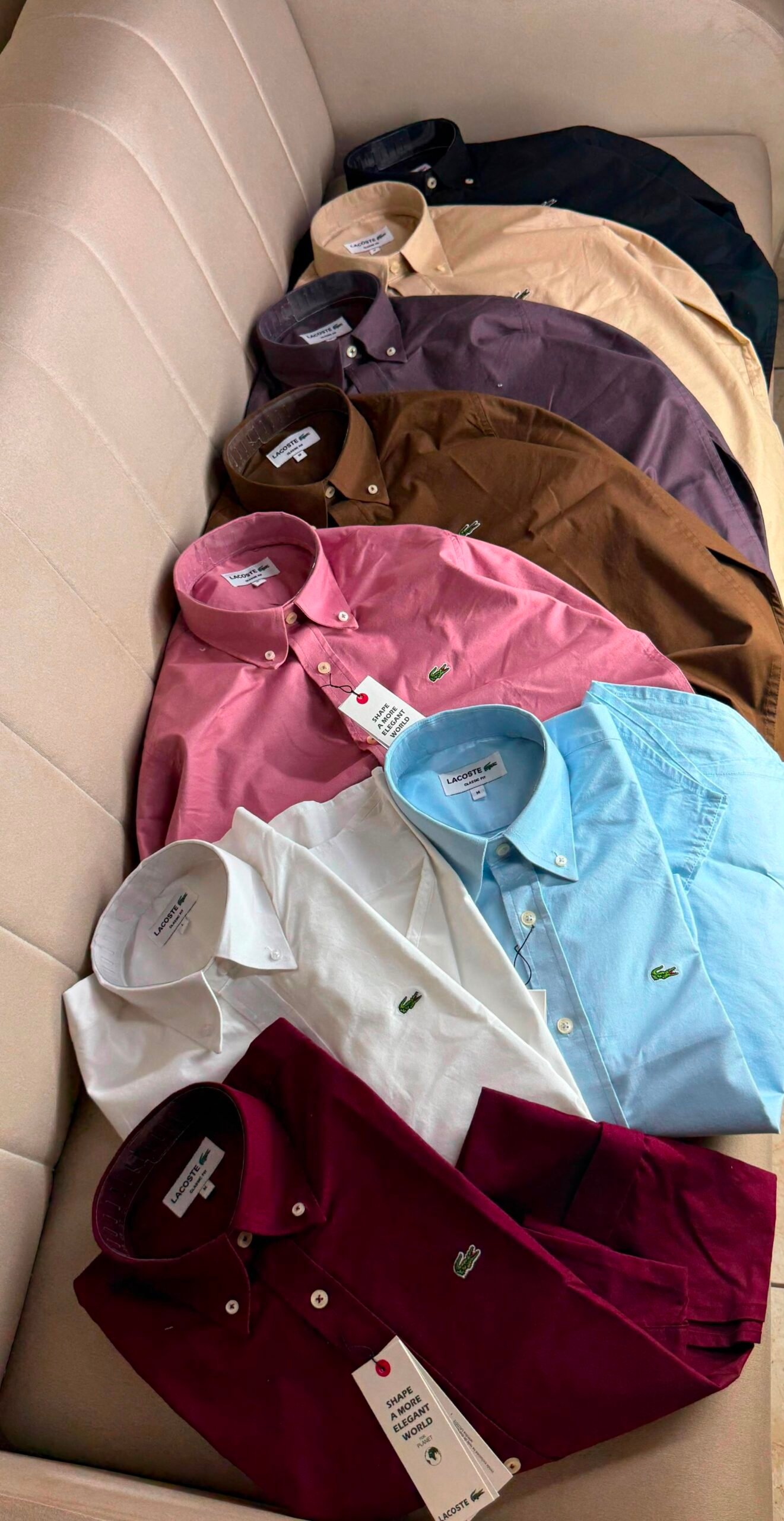 Buy Lacos_tee Plain Oxford Lycra Shirt - Image 4